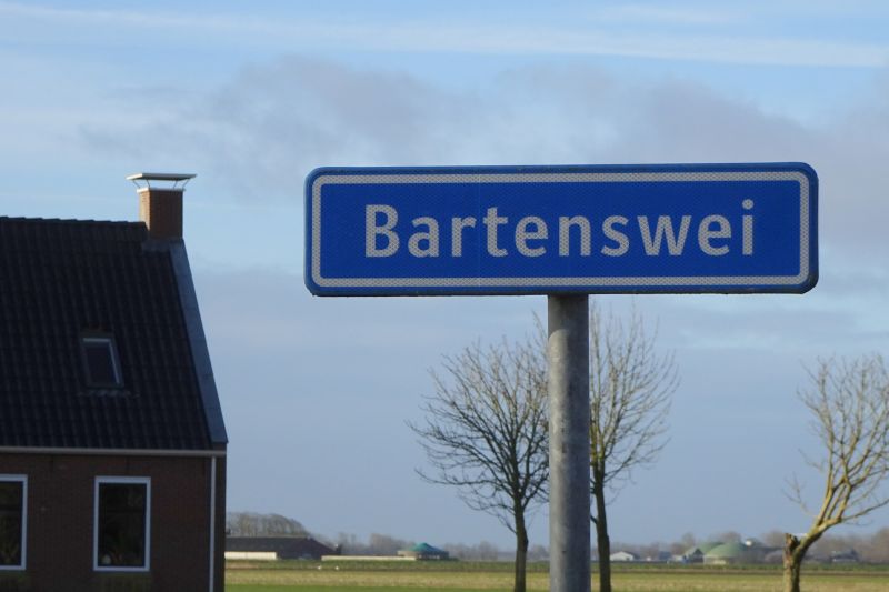 Bartenswei