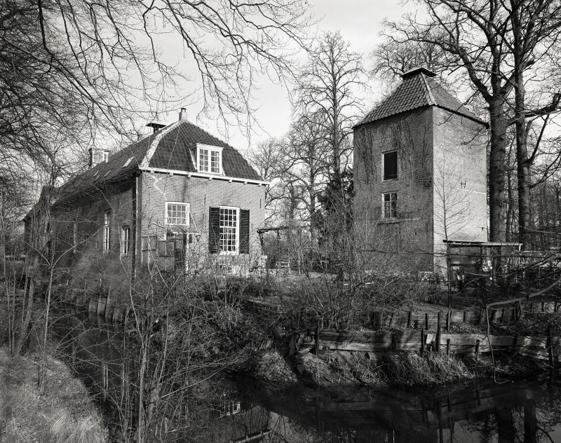 Rhijnauwen en gevleugelde inwoning